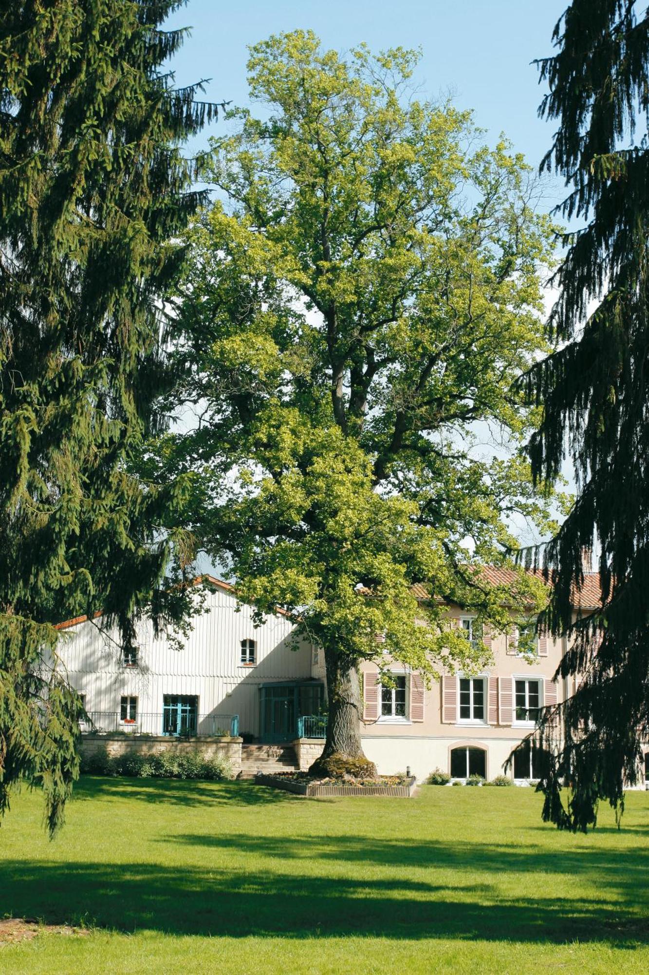 Logis Hotel - Restaurant Le Tulipier Vienne-le-Château Habitación foto